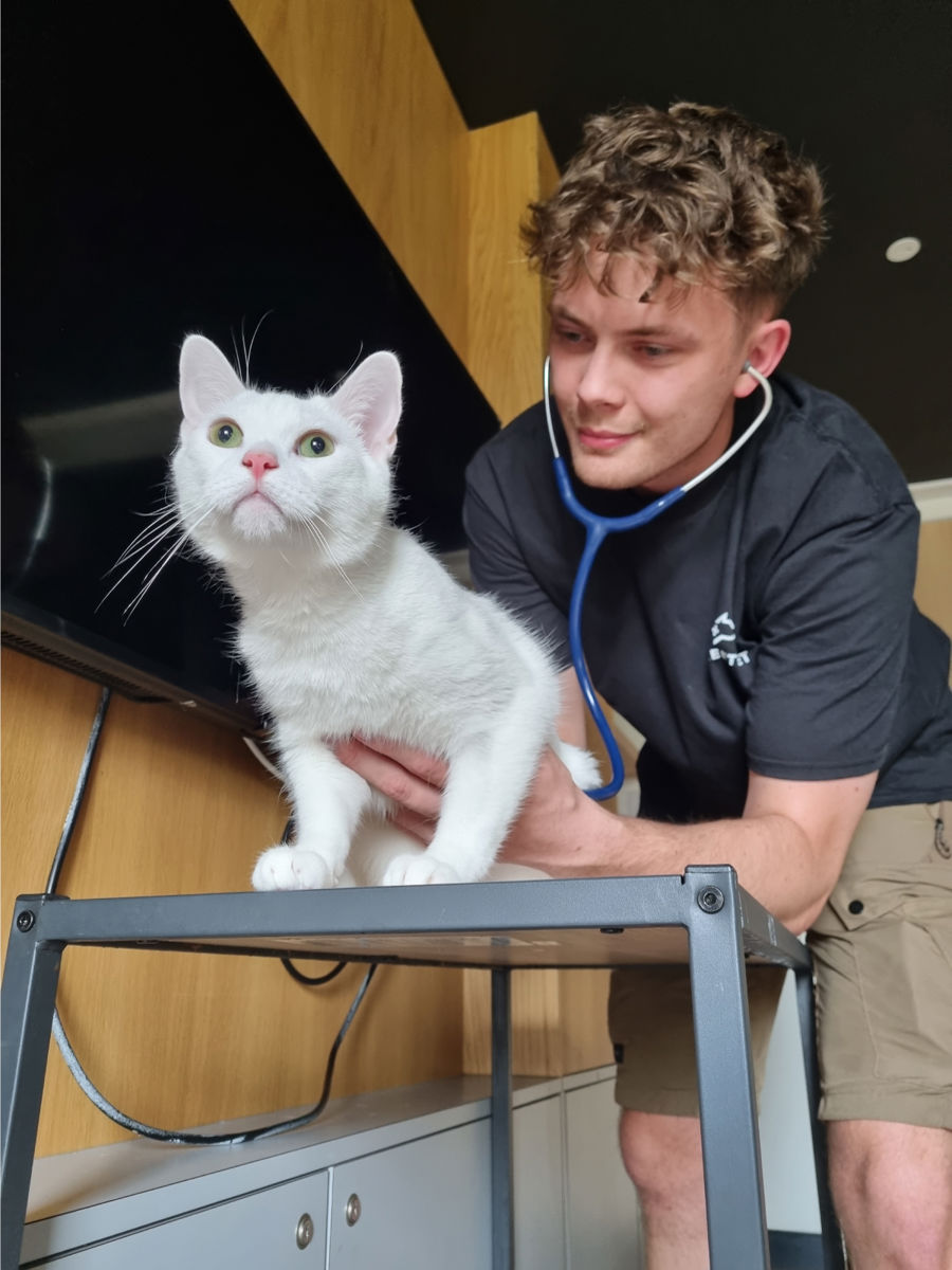 Vil,-Vet,-StreetVet-Cornwall.jpg