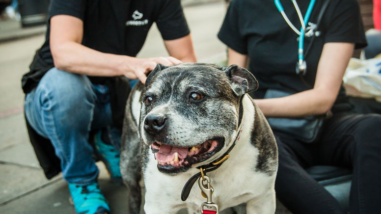 Camden_Benson_ Streetvet team C Love Phodography-0541.jpg