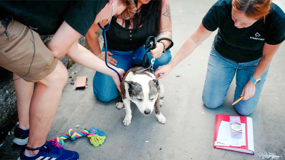 VETS WITH DOG OUTREACH.jpg