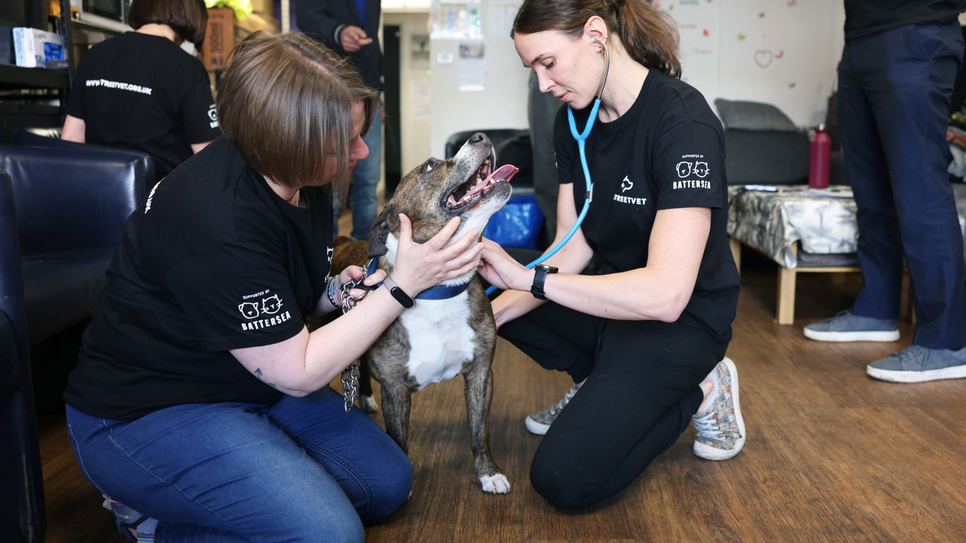 2025-04-12_GP_StreetVet_Outreach_Islington-52-Bailey-002-2048x1366.jpg