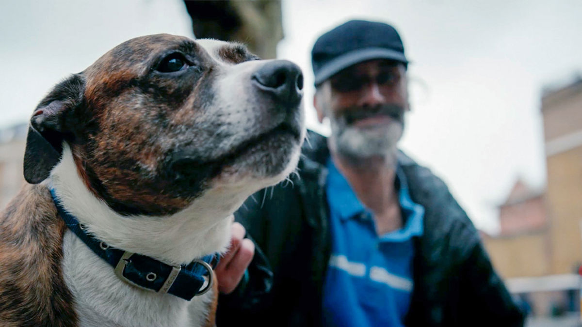 BAILEY WITH ANDY IN BACKGROUND.jpg