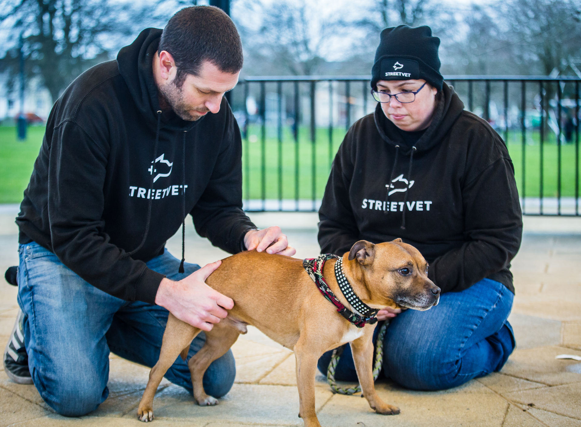 Gloucester_Ozzy_Streetvet Team C Love Phodography  Streetvet-0062.jpg