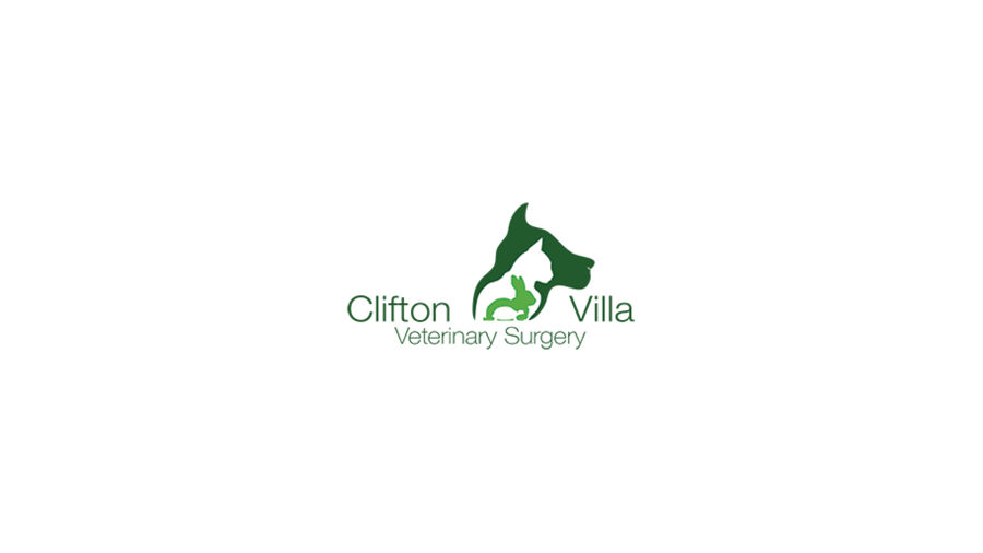 Clifton-Villa-Vets,-Newquay-&-Truro.jpg