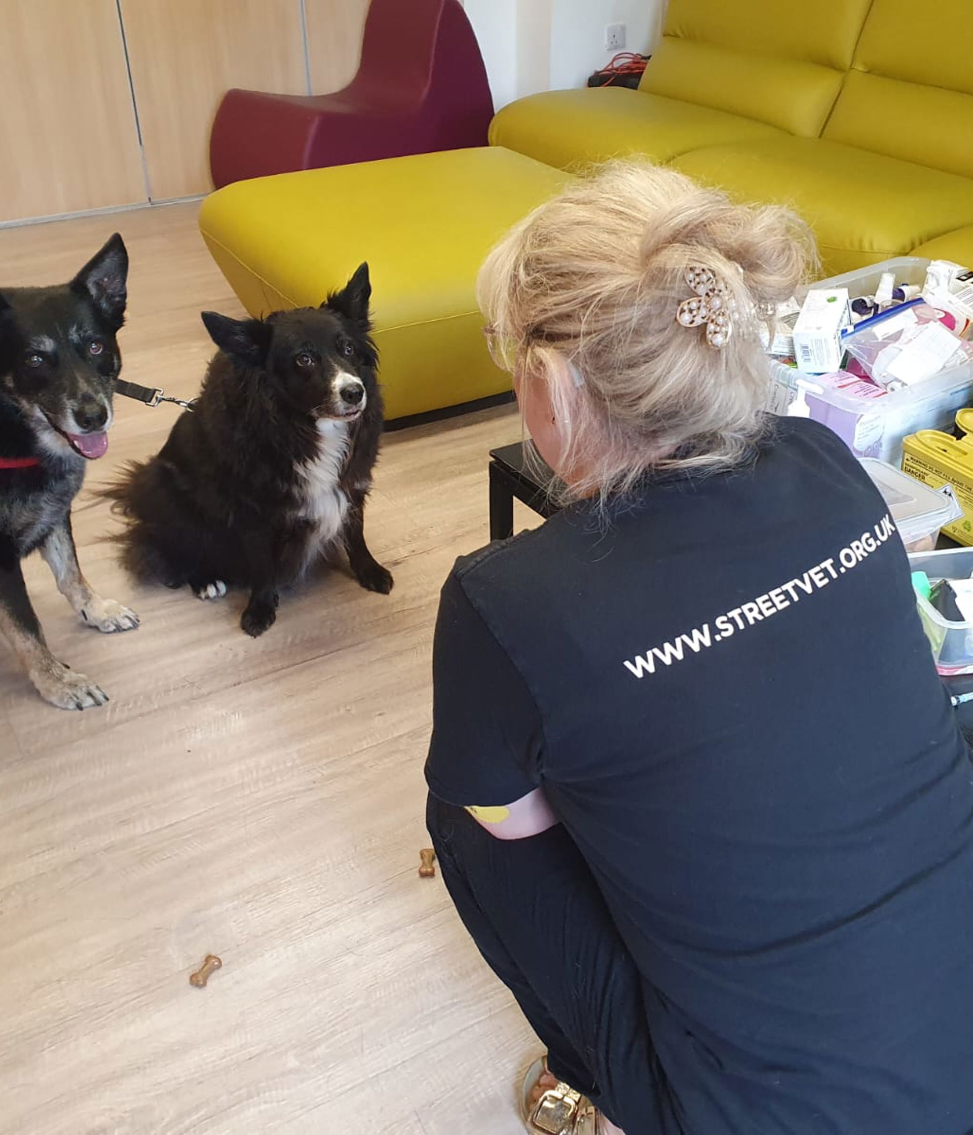 Star and Inka, Redruth, June 25