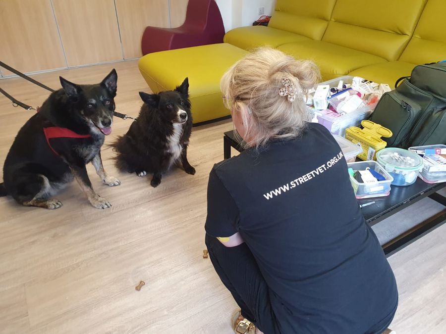 Star and Inka, Redruth, June 25