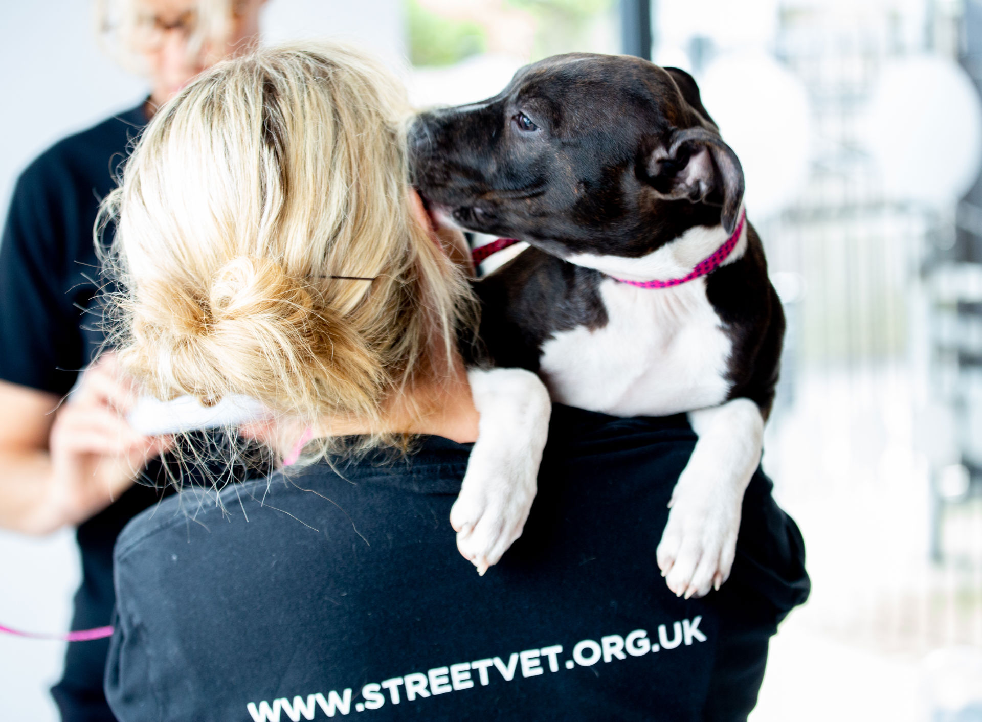 A puppy on the shoulder of a volunteer