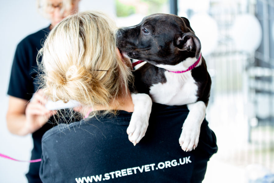 A puppy on the shoulder of a volunteer