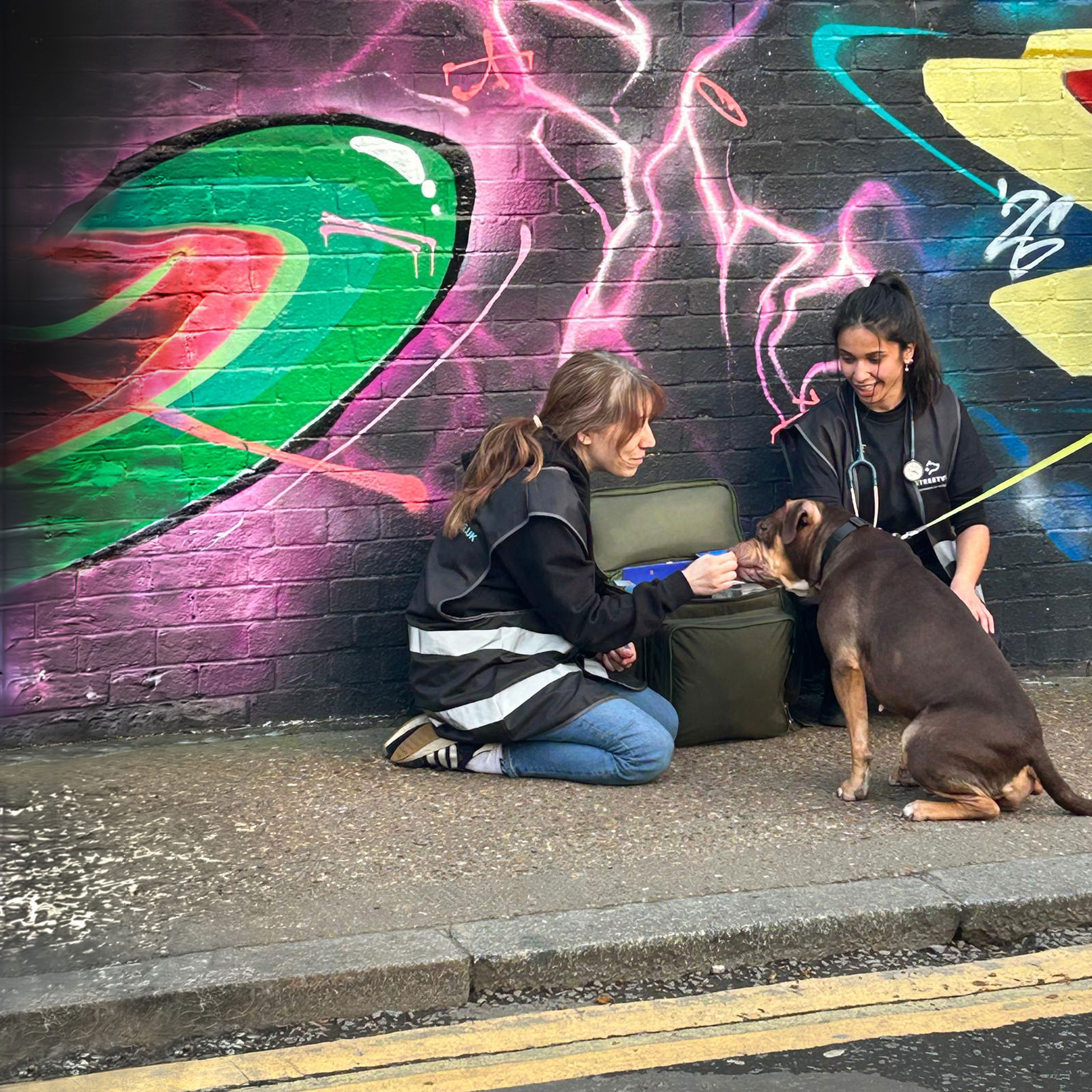 StreetVet volunteers with dog.jpg