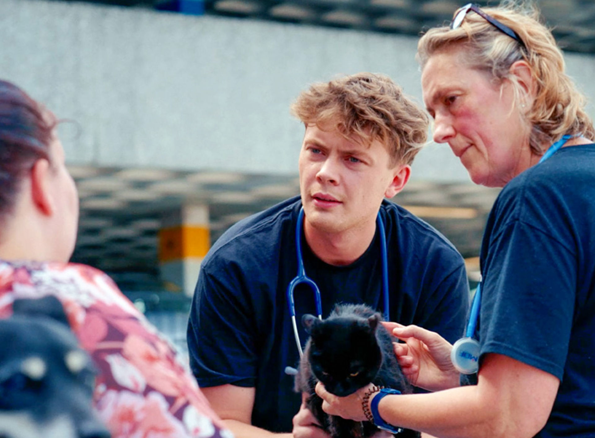 VETS WITH CAT OUTREACH.jpg