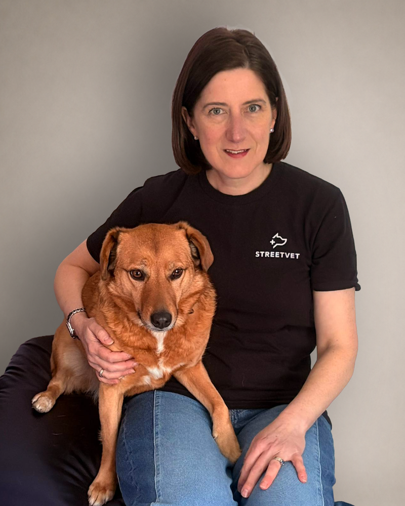 Collette Sheaff - Head of Marketing and Fundraising.png