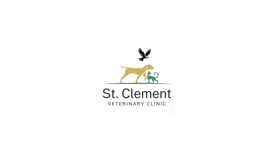 St-Clement's-Vets,-Truro.jpg