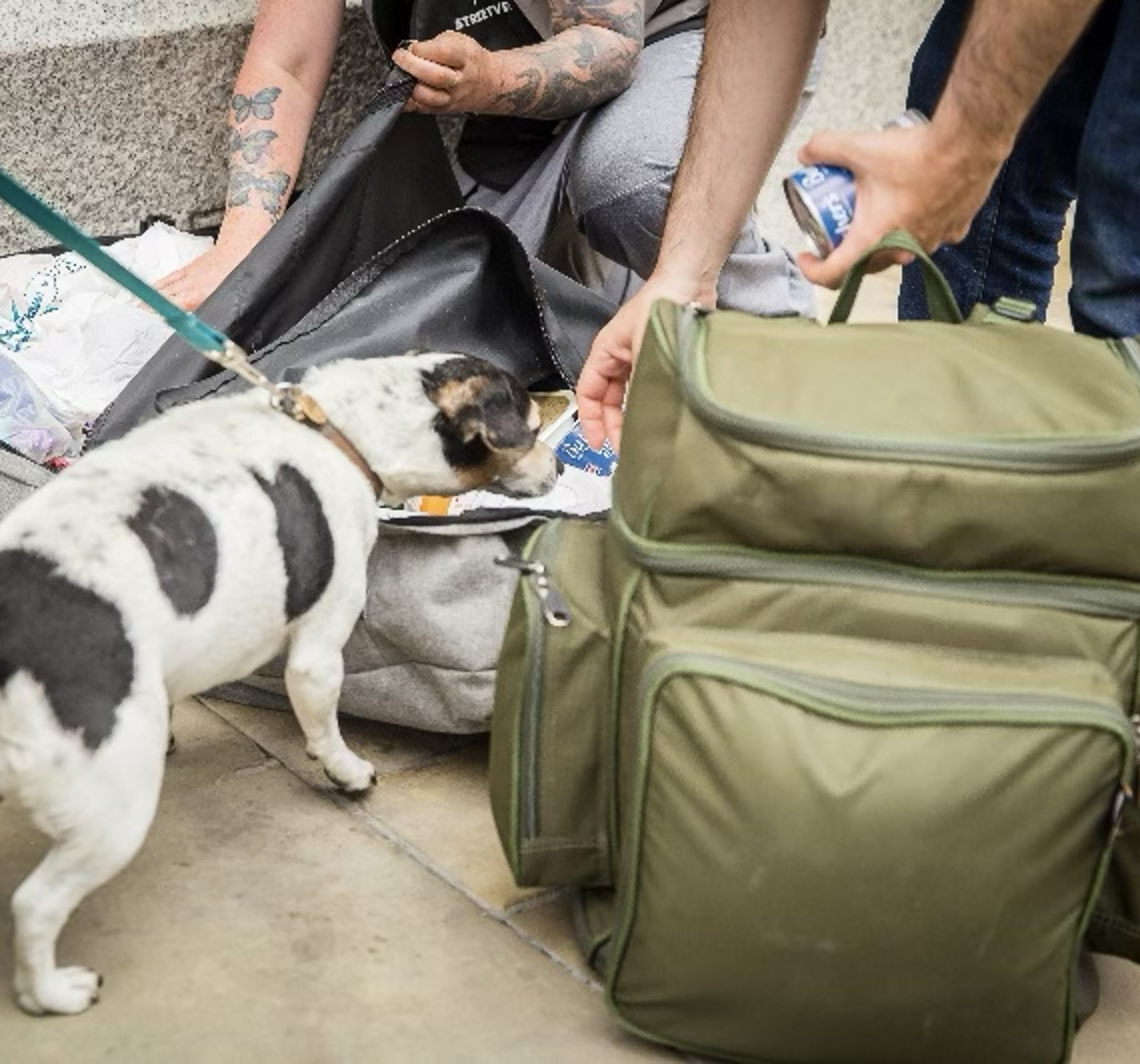 SVOutreach_dog_backpack.png