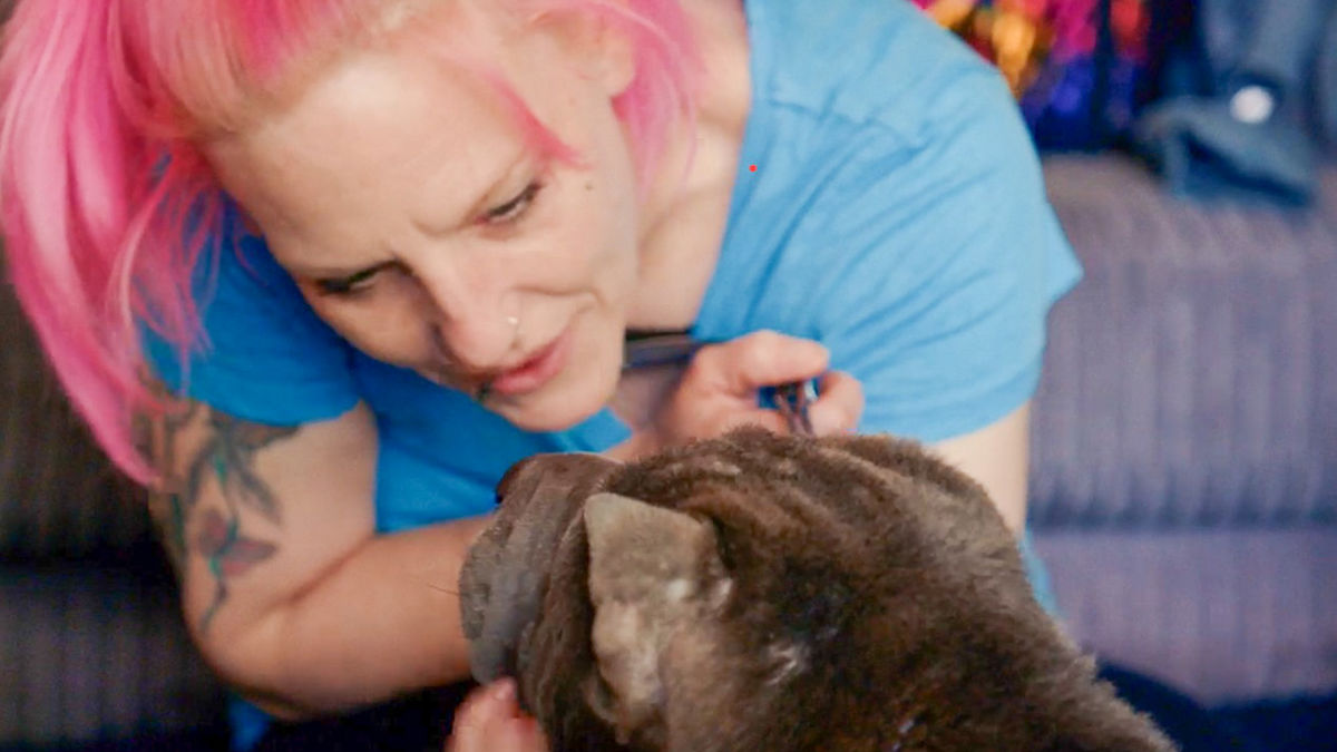 Debs & Bluebell 2.jpg