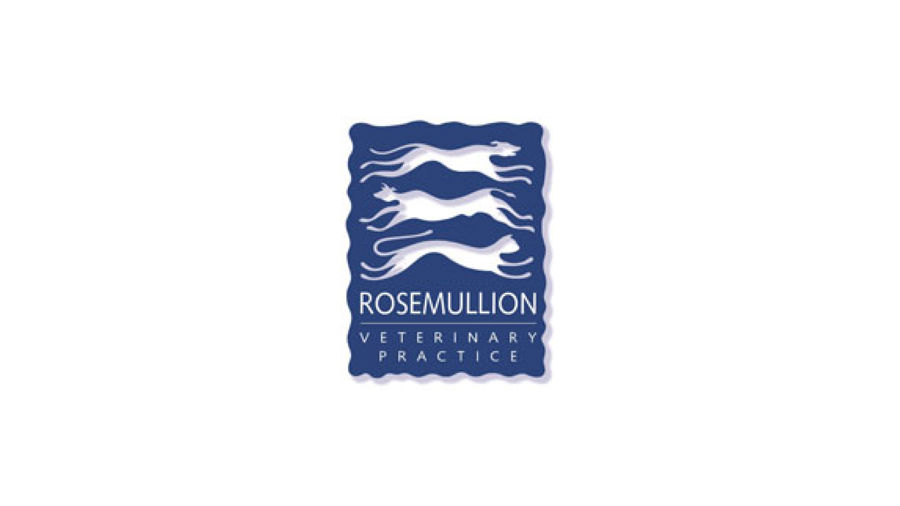 Rosemullion-Veterinary-Hospital,-Falmouth.jpg