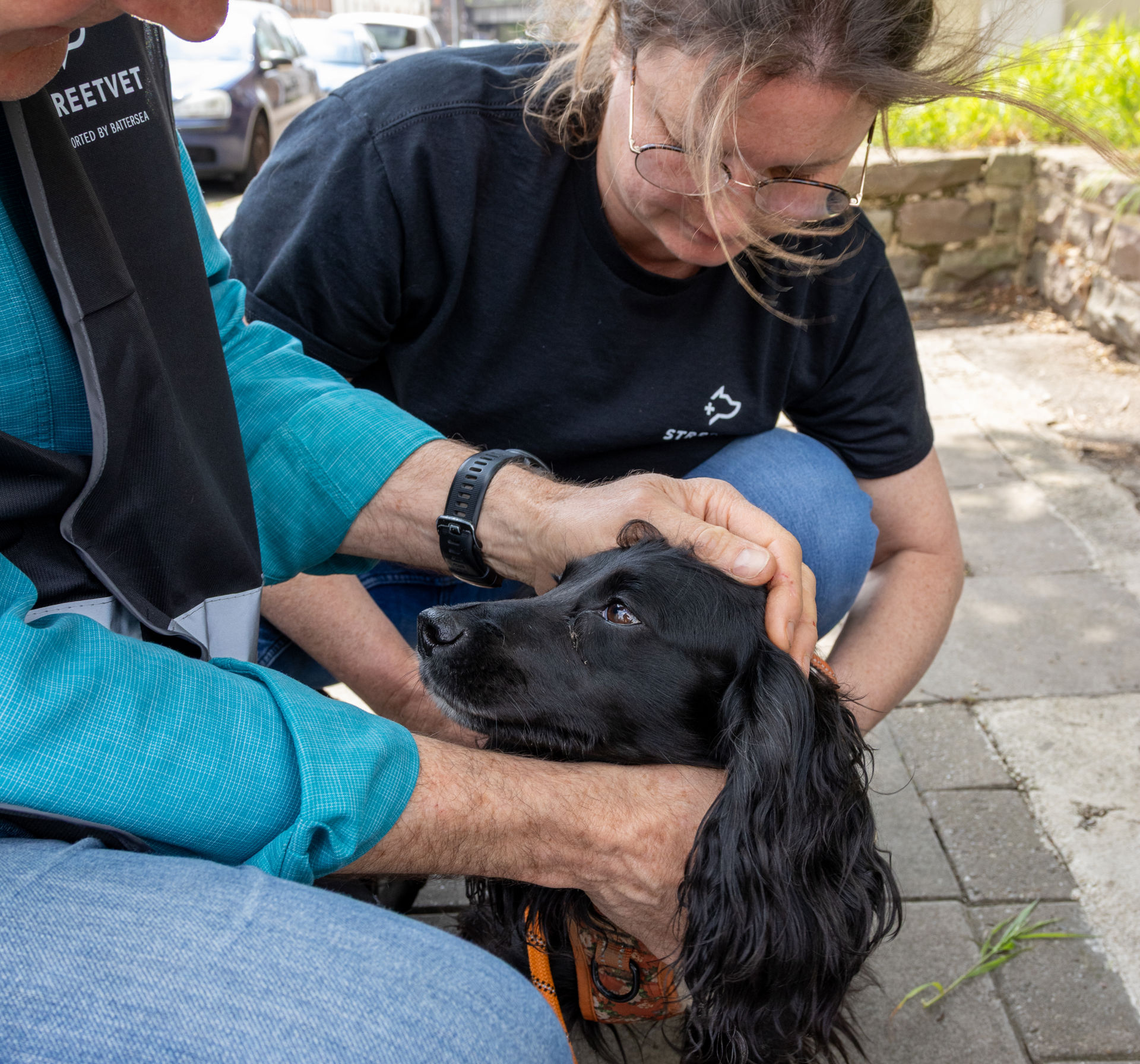 StreetVet volunteers examine a small black spaniel dog at an outside clinic