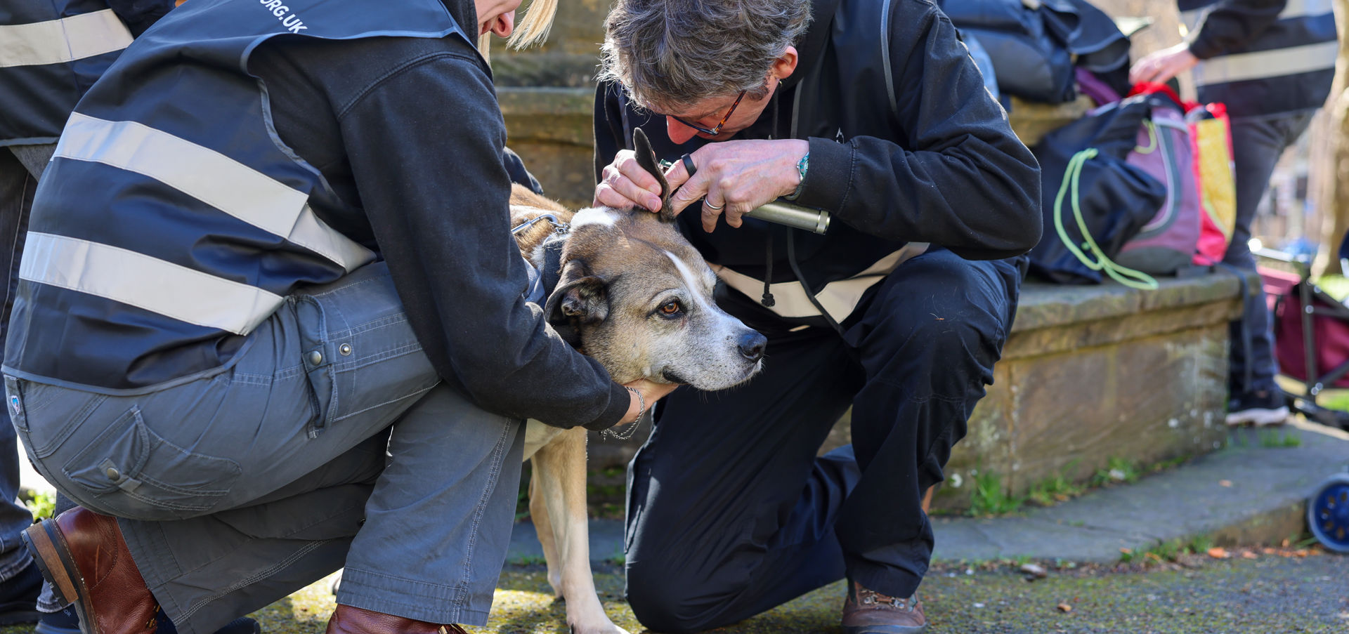 2026-03-14_GP_StreetVet_OutReach_Bristol_20.jpg