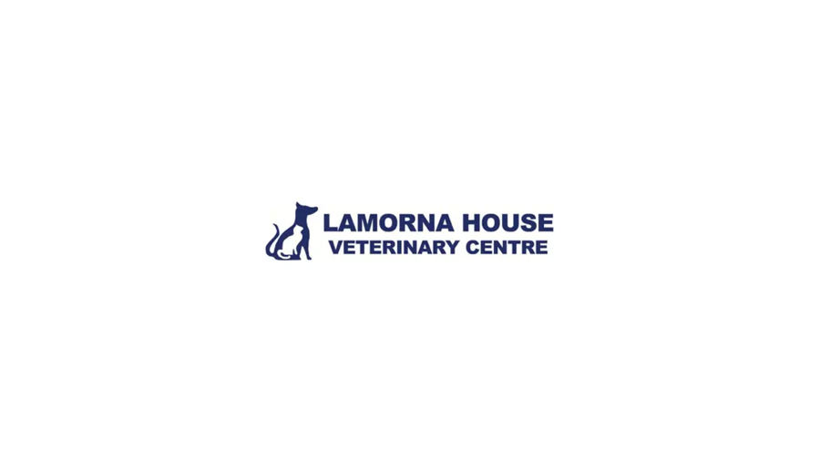 Lamorna-Vets,-Cambourne.jpg