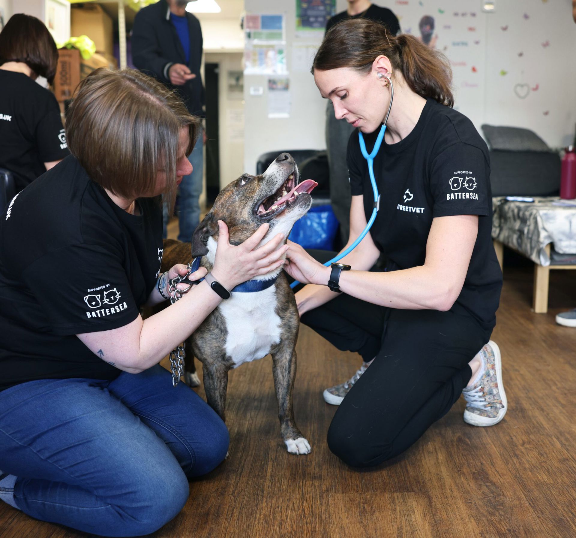 2025-04-12_GP_StreetVet_Outreach_Islington-52-Bailey-002-scaled.jpg